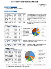 地域経済動向調査報告書
